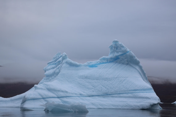 OTL12-25, Day 5, IMG_3827.JPG © Beth Hitchcock - Oceanwide Expeditions.JPG