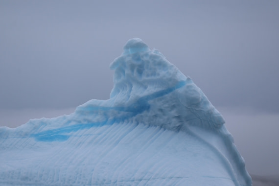 OTL12-25, Day 5, IMG_3828.JPG © Beth Hitchcock - Oceanwide Expeditions.JPG