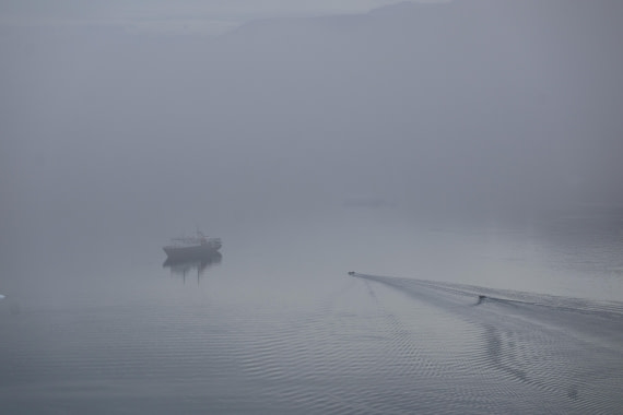 OTL12-25, Day 5, IMG_3838.JPG © Beth Hitchcock - Oceanwide Expeditions.JPG