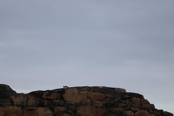 OTL12-25, Day 5, IMG_3857.JPG © Beth Hitchcock - Oceanwide Expeditions.JPG