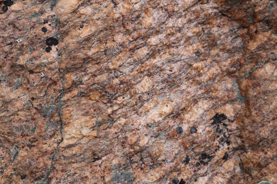 OTL12-25, Day 5, IMG_3876.JPG © Beth Hitchcock - Oceanwide Expeditions.JPG