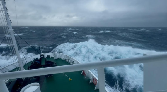 OTL12-25, Day 8, IMG_5097.jpg © Unknown photographer - Oceanwide Expeditions.jpg