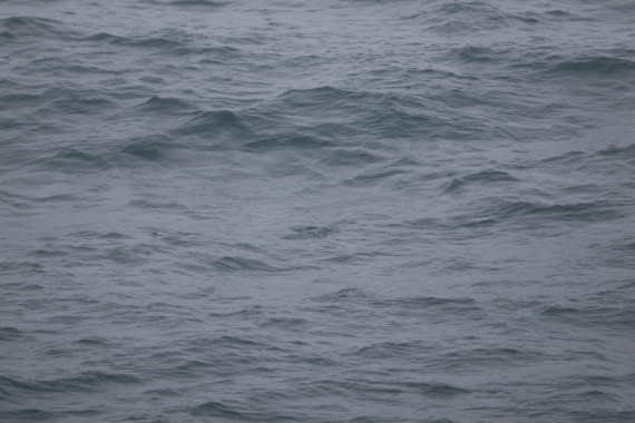 OTL12-25, Day 9, IMG_3884.JPG © Beth Hitchcock - Oceanwide Expeditions.JPG