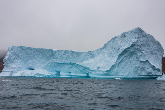HDS12-25, Day 4,  5D5A3566.jpg © Unknown photographer - Oceanwide Expeditions.jpg