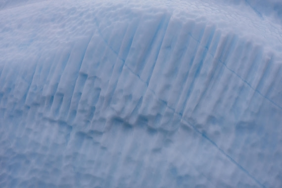 HDS12-25, Day 4,  5D5A3586.jpg © Unknown photographer - Oceanwide Expeditions.jpg