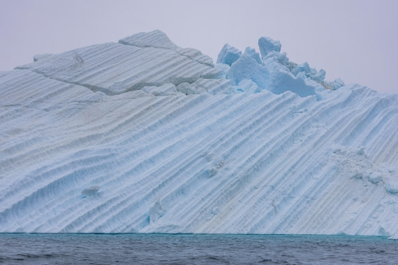 HDS12-25, Day 4,  5D5A3604.jpg © Unknown photographer - Oceanwide Expeditions.jpg