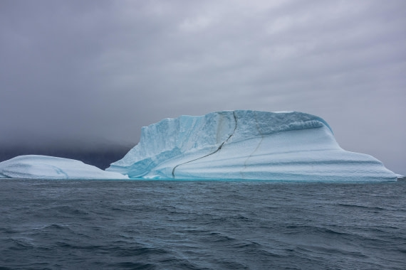 HDS12-25, Day 4,  5D5A3610.jpg © Unknown photographer - Oceanwide Expeditions.jpg