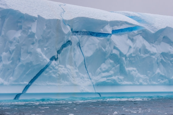 HDS12-25, Day 4,  5D5A3612.jpg © Unknown photographer - Oceanwide Expeditions.jpg