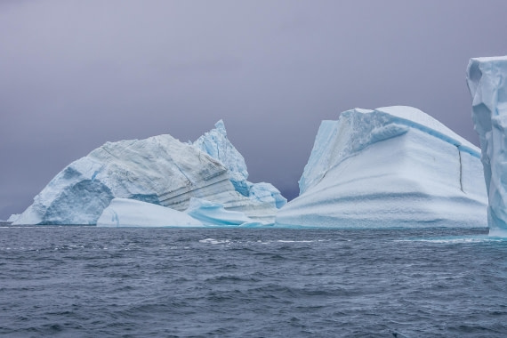HDS12-25, Day 4,  5D5A3616.jpg © Unknown photographer - Oceanwide Expeditions.jpg
