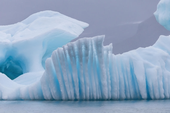 HDS12-25, Day 7,  5D5A6509.jpg © Unknown photographer - Oceanwide Expeditions.jpg