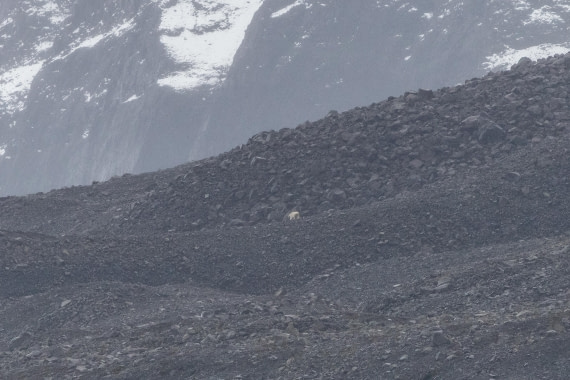 HDS12-25, Day 7,  5D5A6518.jpg © Unknown photographer - Oceanwide Expeditions.jpg