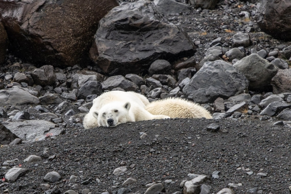 HDS12-25, Day 7,  5D5A6570.jpg © Unknown photographer - Oceanwide Expeditions.jpg