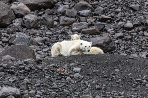 HDS12-25, Day 7,  5D5A6597.jpg © Unknown photographer - Oceanwide Expeditions.jpg