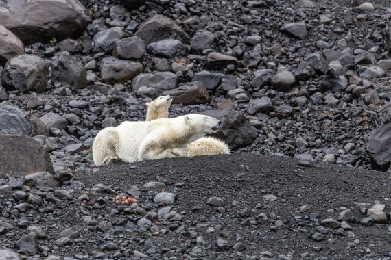 HDS12-25, Day 7,  5D5A6602.jpg © Unknown photographer - Oceanwide Expeditions.jpg