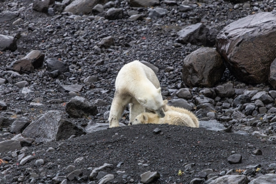 HDS12-25, Day 7,  5D5A6647.jpg © Unknown photographer - Oceanwide Expeditions.jpg