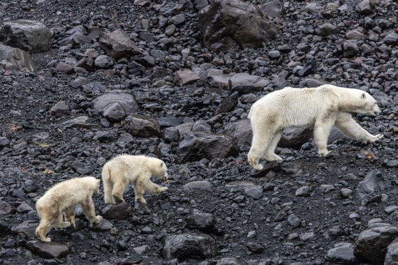 HDS12-25, Day 7,  5D5A6680.jpg © Unknown photographer - Oceanwide Expeditions.jpg