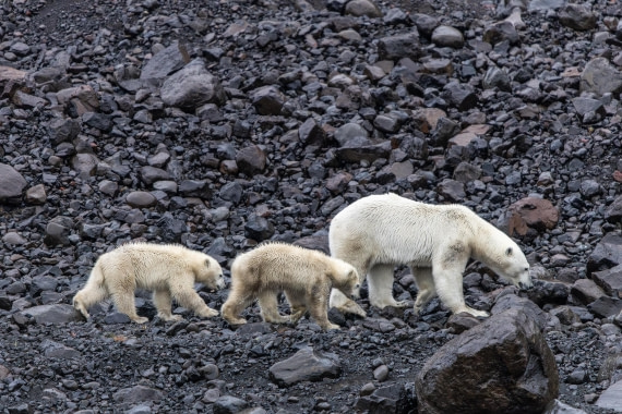 HDS12-25, Day 7,  5D5A6693.jpg © Unknown photographer - Oceanwide Expeditions.jpg