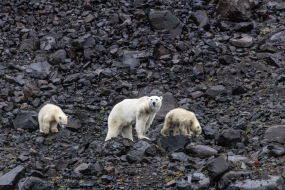 HDS12-25, Day 7,  5D5A6706.jpg © Unknown photographer - Oceanwide Expeditions.jpg