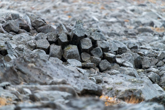 HDS12-25, Day 7,  Matt Cheok - Vikingebugt-3.jpg © Matt Cheok - Oceanwide Expeditions.jpg