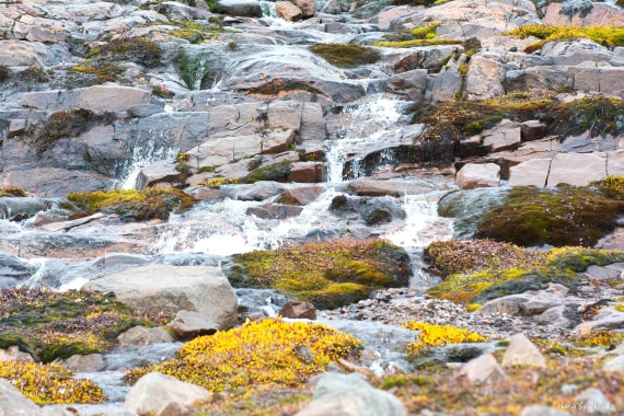 HDS12-25, Day 8,  _DSC7942 Hana.jpg © Hana Spickova - Oceanwide Expeditions.jpg