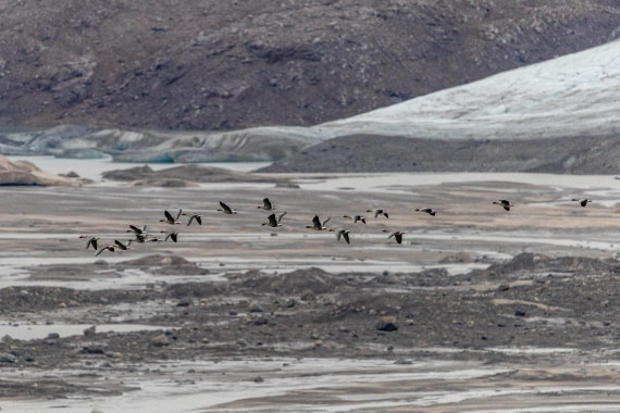 HDS12-25, Day 8,  5D5A6729.jpg © Unknown photographer - Oceanwide Expeditions.jpg