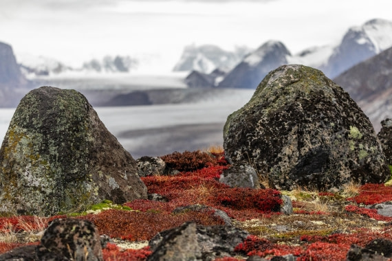 HDS12-25, Day 8,  5D5A6735.jpg © Unknown photographer - Oceanwide Expeditions.jpg