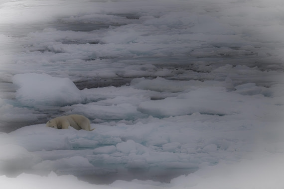 Is it's white, goodnight ...