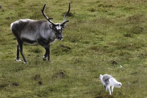 Unexpected rendez-vous