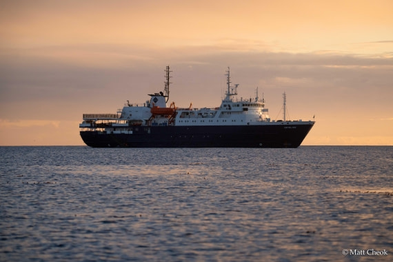 OTL21-25, Day 3, Matt Cheok - Day 3 - Steeple Jason-5.jpg © Matt Cheok - Oceanwide Expeditions.jpg