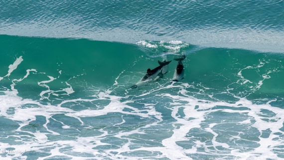 OTL21-25, Day 4, 0Q9A0386.jpg © Martin Anstee - Oceanwide Expeditions.jpg