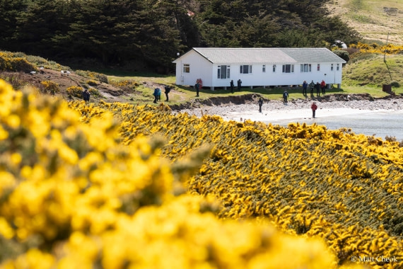 OTL21-25, Day 4, Matt Cheok - Day 4 - Saunders, Carcass-9.jpg © Matt Cheok - Oceanwide Expeditions.jpg