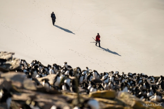 OTL21-25, Day 4, Matt Cheok - Day 4 - Saunders, Carcass-14.jpg © Matt Cheok - Oceanwide Expeditions.jpg