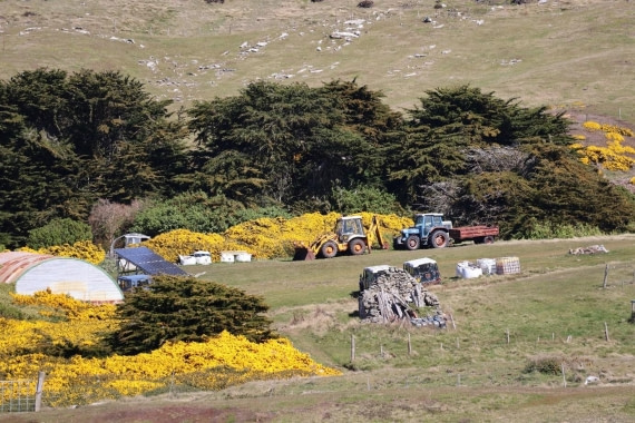 OTL21-25, Day 4, Picture14.jpg © Unknown photographer - Oceanwide Expeditions.jpg