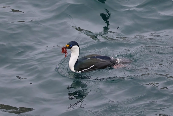 OTL21-25, Day 7, Picture26.jpg © Unknown photographer - Oceanwide Expeditions.jpg