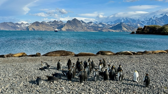 OTL21-25, Day 10, Jason Harbour beach.jpeg © Allan White - Oceanwide Expeditions.jpeg