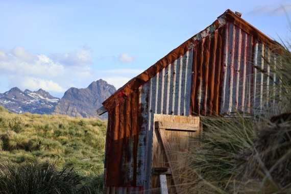 OTL21-25, Day 10, Picture36.jpg © Unknown photographer - Oceanwide Expeditions.jpg