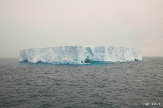 OTL21-25, Day 13, Matt Cheok - 3 November 2025 - South Orkneys-5.jpg © Matt Cheok - Oceanwide Expeditions.jpg