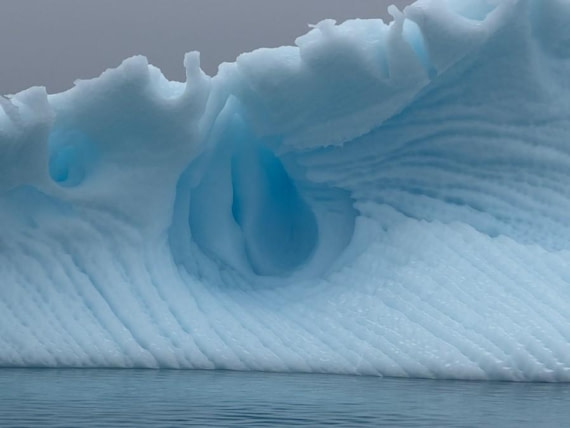 HDS22-25, Day 6, Ice © Unknown photographer - Oceanwide Expeditions.jpg