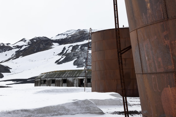 OTL22-25, Day 3, 0Q9A3945.jpg © Martin Anstee - Oceanwide Expeditions.jpg