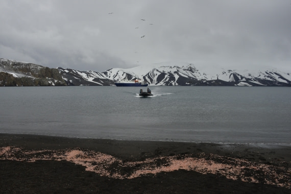 OTL22-25, Day 3, 13Nov2025-Gary Miller-Whalers Bay.JPG © Gary Miller - Oceanwide Expeditions.JPG