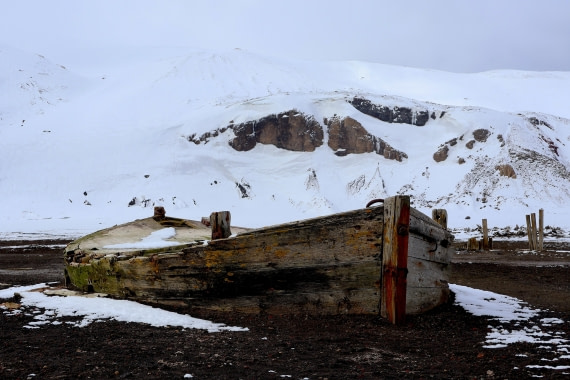 OTL22-25, Day 3, IMG_5282.JPG © Beth Hitchcock - Oceanwide Expeditions.JPG