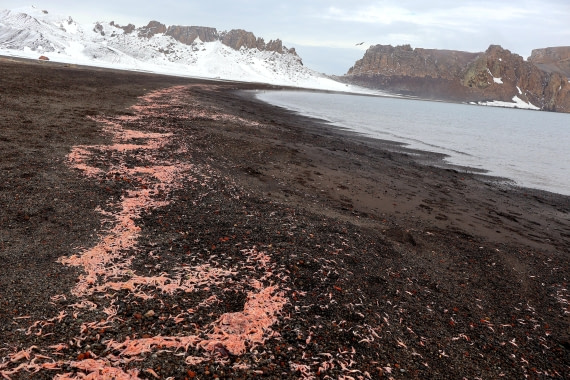 OTL22-25, Day 3, IMG_5296.JPG © Beth Hitchcock - Oceanwide Expeditions.JPG