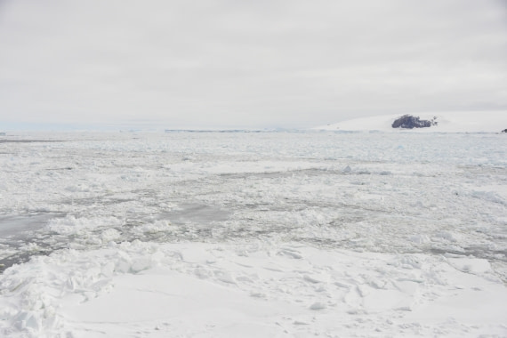 OTL22-25, Day 4, 14Nov2025-Gary Miller-Weddell Sea Ice2.JPG © Gary Miller - Oceanwide Expeditions.JPG