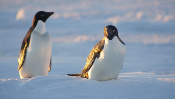 OTL22-25, Day 4, DSC00151.JPG © Jess Owen - Oceanwide Expeditions.JPG