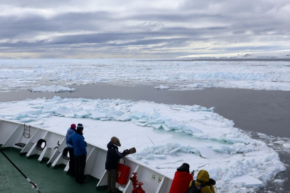 OTL22-25, Day 4, IMG_5387.JPG © Beth Hitchcock - Oceanwide Expeditions.JPG