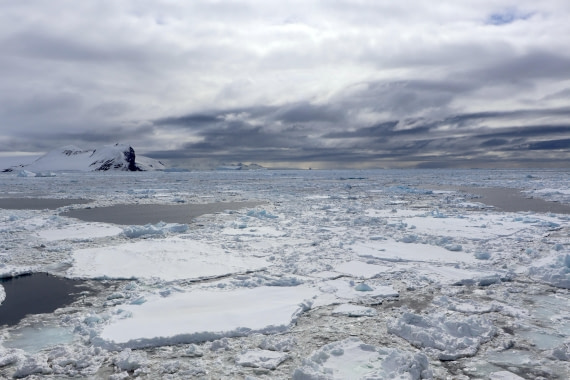 OTL22-25, Day 4, Single Year Ice in Antarctic Sound.JPG © Beth Hitchcock - Oceanwide Expeditions.JPG