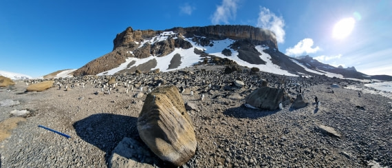 OTL22-25, Day 5, 20251115-Wide Shot of Brown Bluff.jpg © Gary Miller - Oceanwide Expeditions.jpg