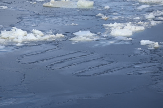 OTL22-25, Day 5, IMG_5460.JPG © Beth Hitchcock - Oceanwide Expeditions.JPG