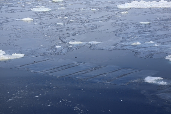 OTL22-25, Day 5, IMG_5461.JPG © Beth Hitchcock - Oceanwide Expeditions.JPG