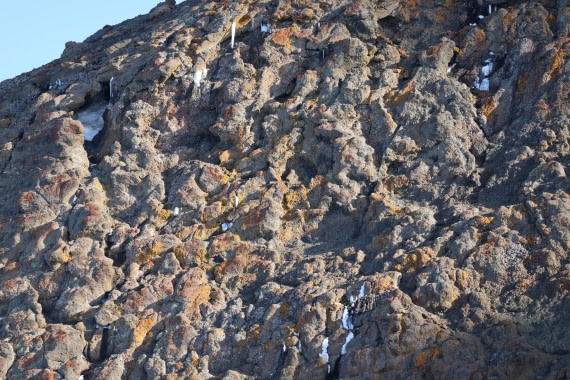 OTL22-25, Day 5, IMG_5467.JPG © Beth Hitchcock - Oceanwide Expeditions.JPG